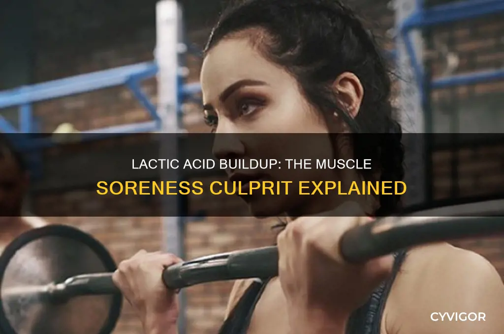 which chemical may build up in muscles and cause soreness