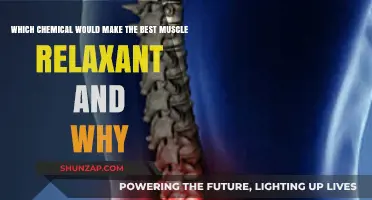 Exploring the Ideal Muscle Relaxant: Top Chemical Candidates and Benefits