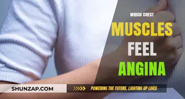 Angina: Which Chest Muscles Feel the Pain?