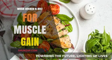 Best Chicken Choices for Optimal Muscle Gain and Recovery