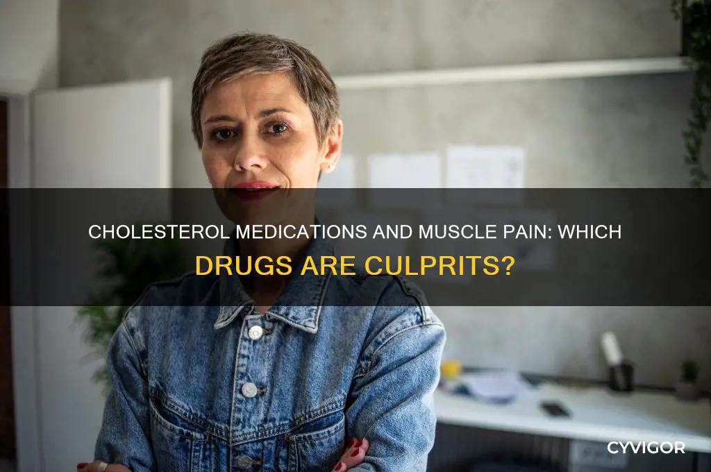 which cholesterol drug does cause muscle pain