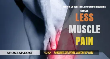Minimizing Muscle Pain: Best Cholesterol-Lowering Medication Options