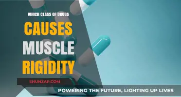 Elbow Muscles And Tendons Responsible For External Rotation Explained ...