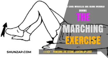 Marching Exercise: Core Muscles Activated and Strengthened