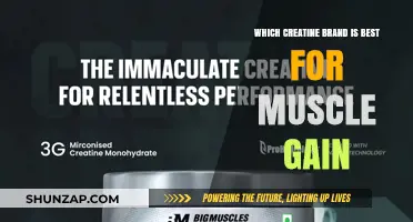 Top Creatine Brands for Optimal Muscle Gain: Expert Recommendations