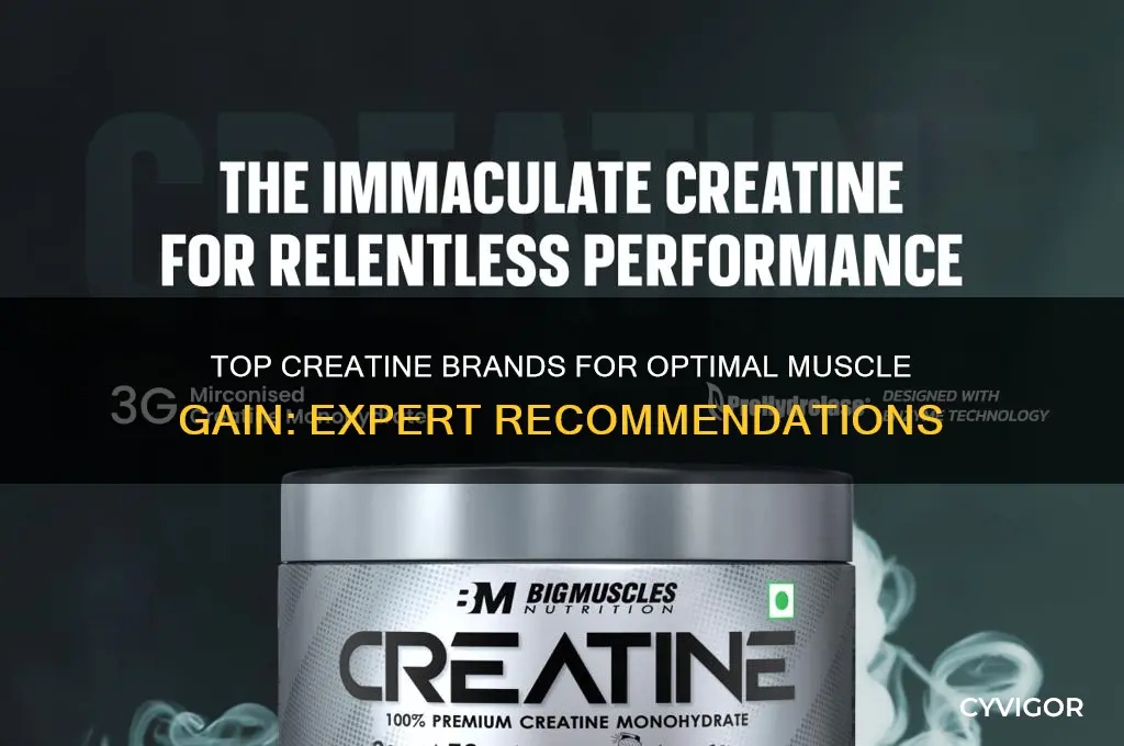 which creatine brand is best for muscle gain