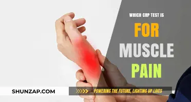Understanding CRP Tests: Which One Diagnoses Muscle Pain Effectively?