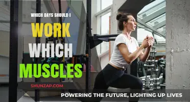 Optimize Your Workout: Strategic Muscle Group Training Days Guide