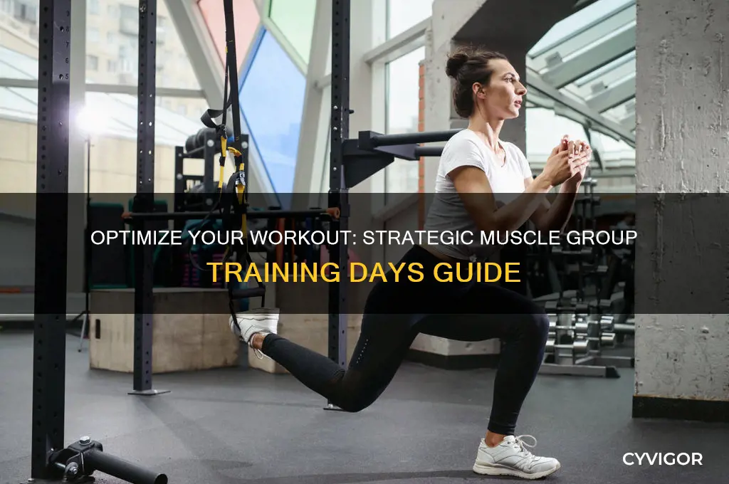 which days should i work which muscles