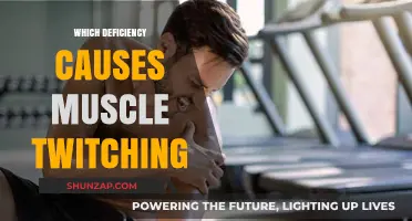 Unraveling Muscle Twitching: Key Nutrient Deficiencies Behind This Common Symptom