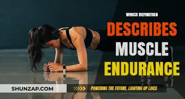What is Muscle Endurance and Why is it Important?