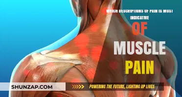 Identifying Muscle Pain: Key Descriptions to Recognize and Understand