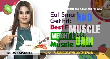Optimal Diets for Fat Loss and Muscle Gain: What Works Best?