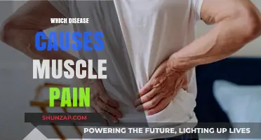 Unraveling the Mystery: Diseases That Trigger Persistent Muscle Pain