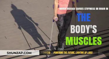 Understanding Rigidity: Diseases Causing Muscle Stiffness and Body Rigor Explained