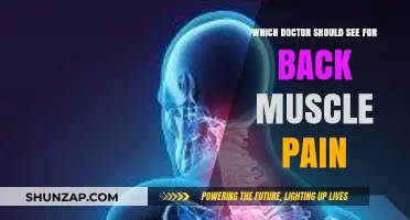 Back Muscle Pain: Which Specialist Should You Consult for Relief?