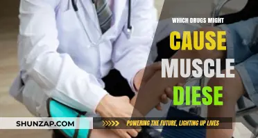 Drugs Linked to Muscle Disease: Potential Culprits and Risks