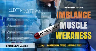 Electrolyte Imbalance: The Hidden Cause of Muscle Weakness