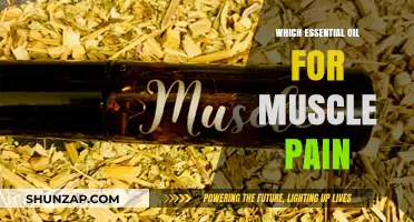 Best Essential Oils for Muscle Pain Relief: Natural Remedies Guide