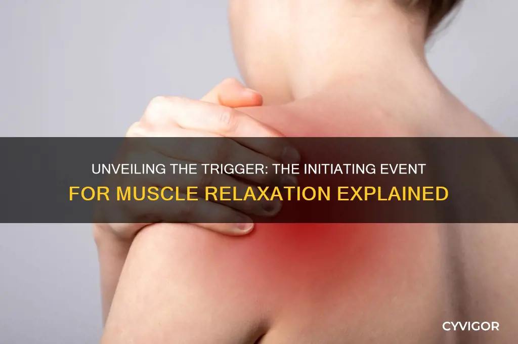 which event is the beginning of muscle relaxation