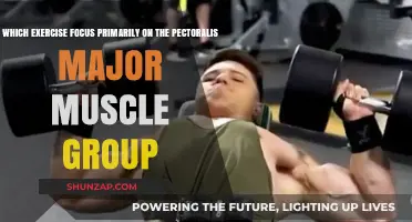 Effective Exercises to Target and Strengthen Your Pectoralis Major Muscles