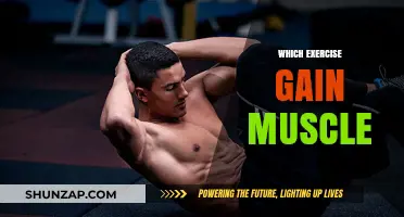 Effective Exercises to Build Muscle Mass and Strength Fast