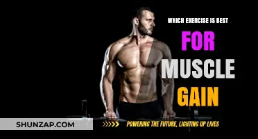 Best Exercises for Muscle Gain: Maximize Growth with Proven Workouts