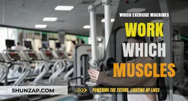 Maximize Your Workout: Targeted Muscle Engagement on Exercise Machines