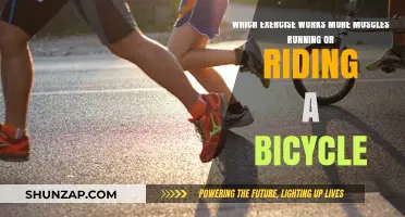 Running vs. Biking: Which Full-Body Workout Engages More Muscles?