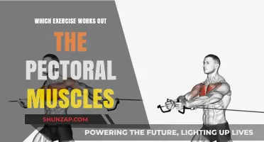 Effective Chest Exercises: Targeting and Strengthening Your Pectoral Muscles
