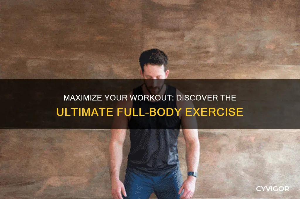 which exercise works the most muscles