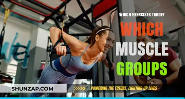 Effective Workouts: Targeting Specific Muscle Groups for Optimal Results