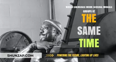 Maximize Your Workout: Multi-Muscle Exercises for Efficient Strength Training