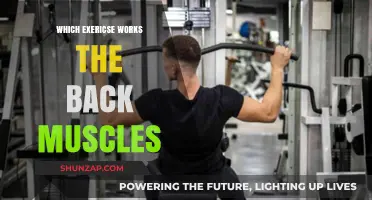 Effective Back Muscle Exercises: Strengthen and Tone Your Back