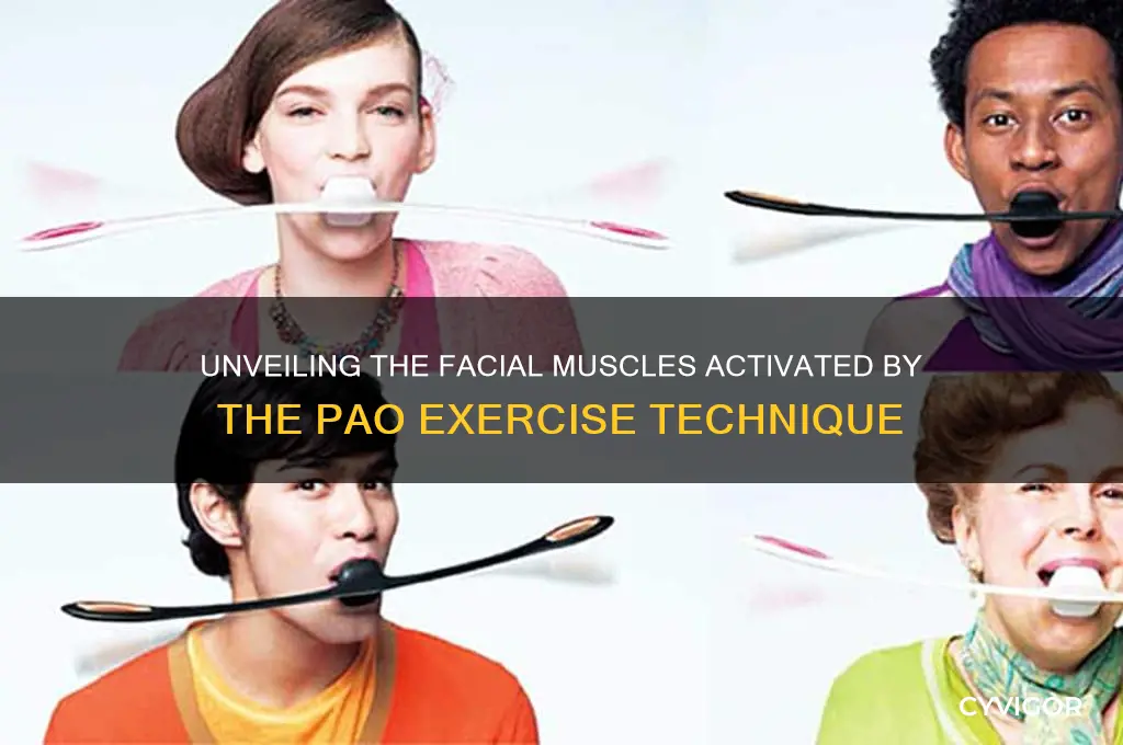 which face muscles work pao