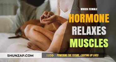 How Estrogen Relaxes Muscles: Understanding Female Hormone Effects