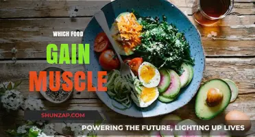 Fuel Your Gains: Top Muscle-Building Foods for Strength and Size