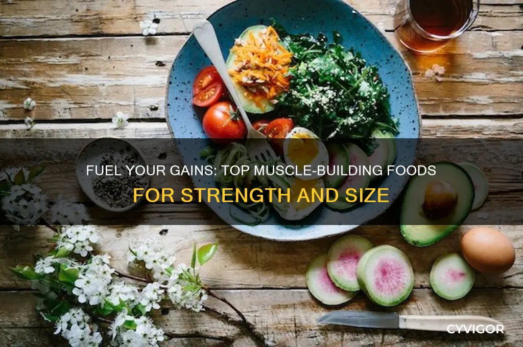 which food gain muscle