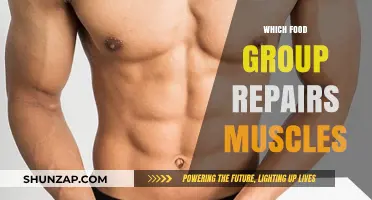 Fuel Your Recovery: Top Foods to Repair and Rebuild Muscles