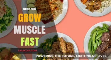 Fuel Your Gains: Top Muscle-Building Foods for Rapid Growth