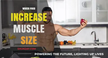 Best Foods for Muscle Growth and Size