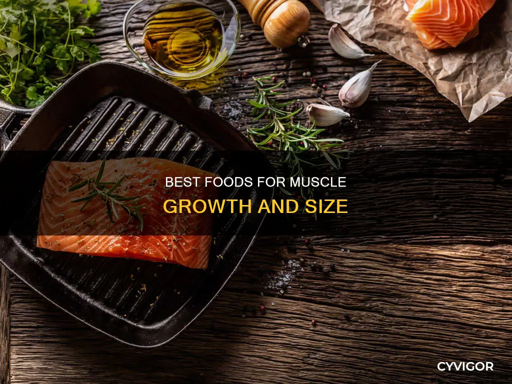 which food increase muscle size