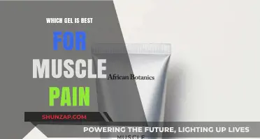 Top Gel Remedies for Effective Muscle Pain Relief and Recovery