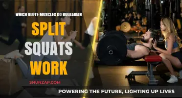 Bulgarian Split Squats: Targeting Glute Muscles for Strength and Tone