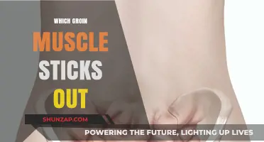 Groin Muscle Bulge: What's Going On?