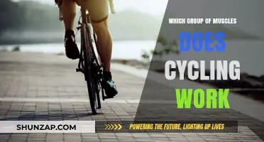 Cycling's Muscle Power: Unlocking Lower Body Strength and Core Engagement