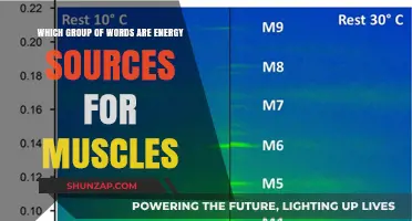 Fuel for Muscles: Unlocking the Power of Energy-Providing Words