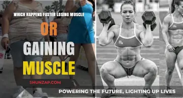 Muscle Loss vs Gain: Which Process Outpaces the Other?