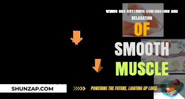 Smooth Muscle's Rhythmic Contraction and Relaxation: Understanding Its Mechanism