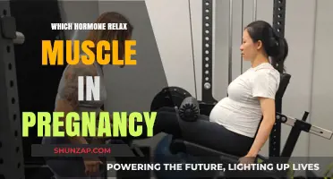 Pregnancy Hormones: How Relaxin Eases Muscle Tension for Expecting Moms